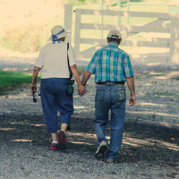 A retired couple, holding hands and walking towards a wooden gate in the distance.